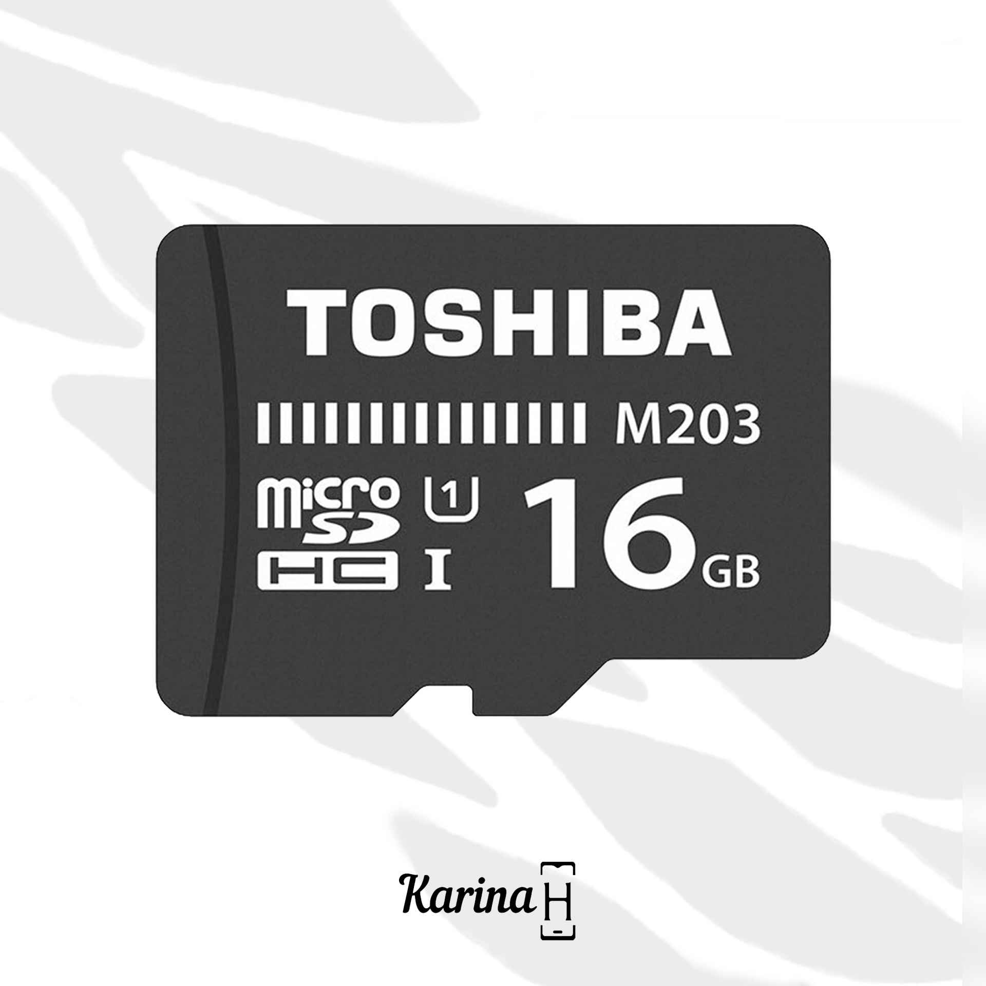 کارت حافظه microSDHC توشیبا مدل M203 کلاس 10  ظرفیت 16 گیگابایت